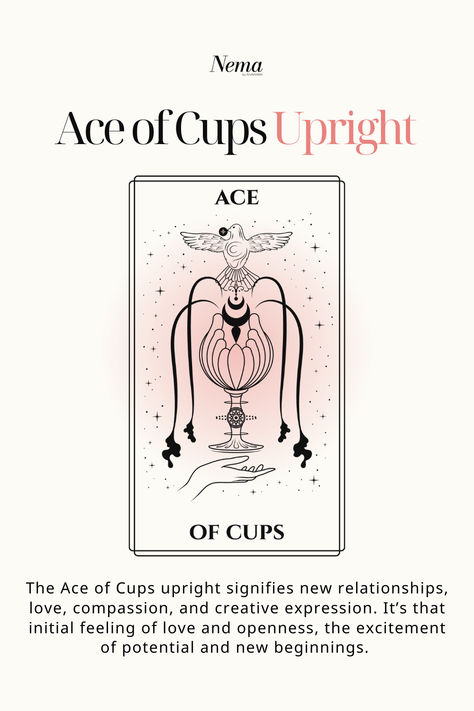 The Ace of Cups upright represents new relationships, compassion, and emotional growth. Embrace love, creativity, and fresh starts with this uplifting tarot card. Tarot Questions To Ask, The Ace Of Cups, Tarot Questions, Tarot Cards Aesthetic, Tarot 101, Beginners Tarot, Tarot For Beginners, Ace Of Cups, Spreads Tarot