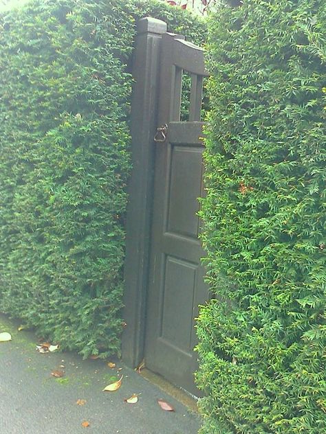 Gate in the hedge... Hedge Gate Entrance, Hedge Fence With Gate, Gate In Hedge, Garage Classroom, Beautiful Gates, Backyard Gates, Shrubs For Privacy, Garage Gate, Garden Hedges