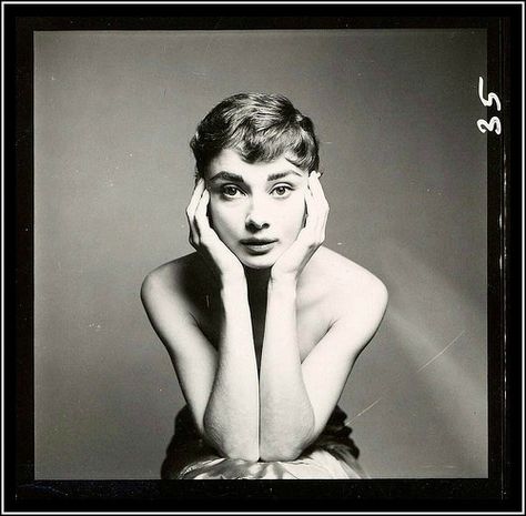 Audrey Hepburn, photo by Richard Avedon, December 18, 1953 Richard Avedon Photography, Audrey Hepburn Outfit, Aubrey Hepburn, Audrey Hepburn Photos, Audrey Hepburn Style, Hepburn Style, Richard Avedon, Sophia Loren, Brigitte Bardot