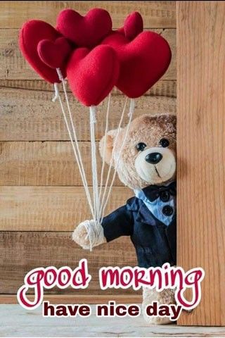 Video Good Morning, Morning Sister, Love Good Morning Quotes, Morning Video, Lovely Morning, Good Morning Beautiful Gif, Good Morning Love Messages, Good Morning Roses, Morning Quotes Funny