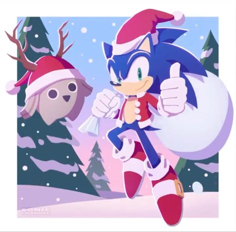 Sonic Christmas, Hedgehog Christmas, Sonic Adventure 2, Hedgehog Movie, Lego Pictures, Sonic Franchise, Sonic 3, Sonic Adventure, Hedgehog Art