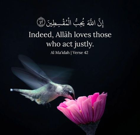 Source: guidanceofthequran (Instagram) #islam #muslim #quran #arabic #english #justice #translation #islamic #quotes Arabic Quotes With Translation, Muslim Quran, Allah Love, Beautiful Quran Quotes, Quran Quotes, Arabic Quotes, Islamic Quotes, Quran, Acting