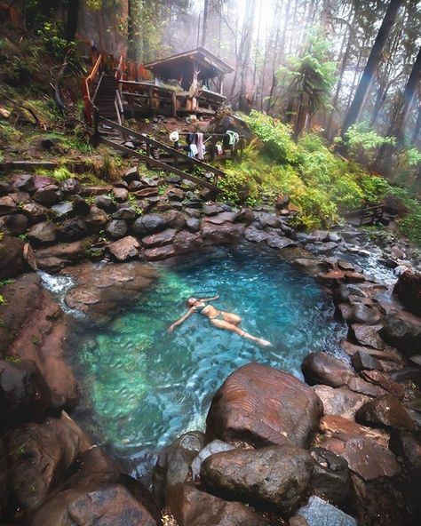 Natural Pools Backyard Swimming Ponds, Forest Oregon, Get Paid To Travel, Natural Swimming Ponds, The Cascades, Dynamic Landscape, Paid To Travel, Mini Pool, Meditation Garden