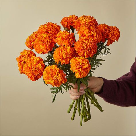 Marigold Photography, Marigold Bouquet, Day Of The Dead Flowers, Autumn Bouquets, Marigold Wedding, Ftd Flowers, Fresh Floral Arrangements, Dead Flowers, Flowers Autumn