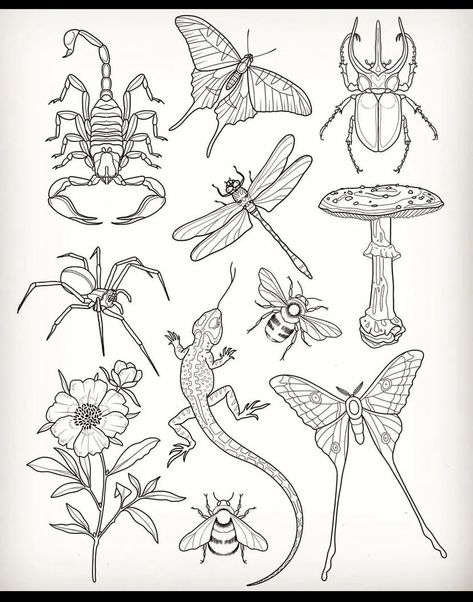 World Tattoos, American Traditional Tattoo Ideas, Traditional Tattoo Ideas, Insect Tattoo, Bug Tattoo, Bug Art, Number System, World Tattoo, Desenho Tattoo