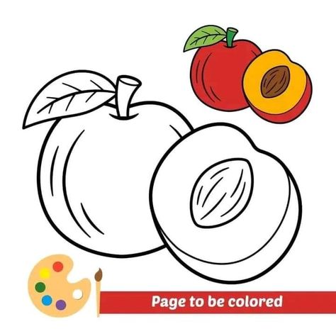 Barbie Painting, Colors For Toddlers, Free Kids Coloring Pages, Paper Crafts Magazine, Kitten Wallpaper, Fruit Coloring Pages, Fruits Drawing, Preschool Coloring Pages