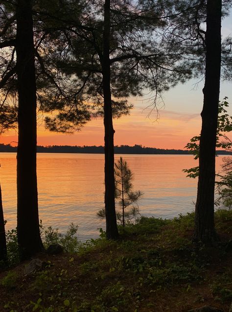 The Sun, Trees, Forest, Lake, Sun, Water