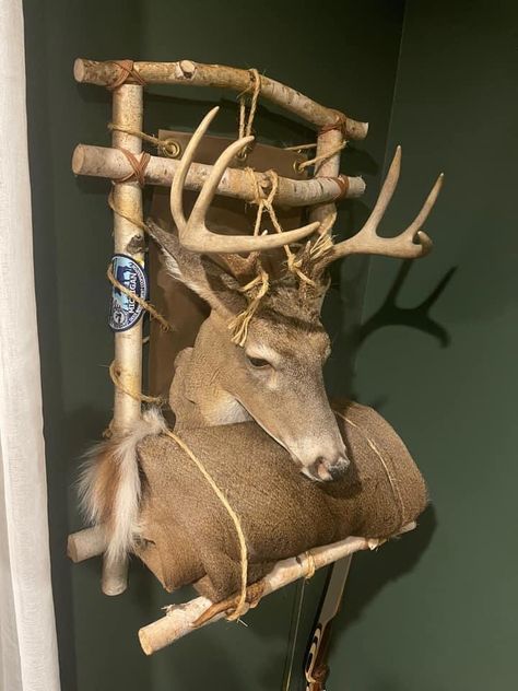 European Deer Mount Ideas, European Deer Mount, Deer Mount Decor, Deer Mount Ideas, Deer Skull Mount, Deer Hunting Decor, Deer Processing, Euro Mounts, Deer Antler Crafts