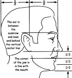 Proportions Of The Face, Facial Proportions, Face Proportions, 얼굴 드로잉, 얼굴 그리기, Drawing Drawing, Side Profile, Pencil Portrait, Drawing Lessons