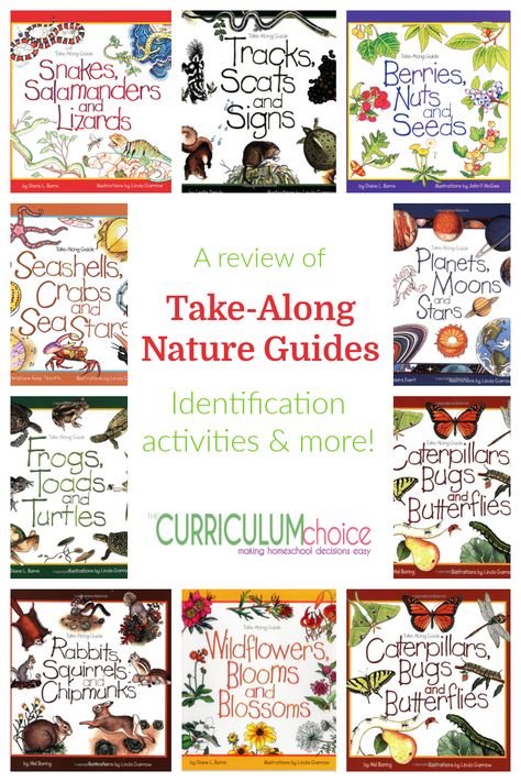 Take-Along Nature Guides for Homeschool - The Curriculum Choice Homeschool Nature, Nature Curriculum, Homeschool Curriculum Planning, Nature Lessons, Summer Homeschool, Homeschool Nature Study, Free Homeschool Resources, Free Homeschool Curriculum, Nature School