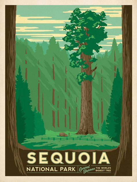 Vintage National Park Posters, Sequoia National Park California, Travel Stamps, American National Parks, Groups Poster, Anderson Design Group, Travel America, Kings Canyon, Retro Travel Poster