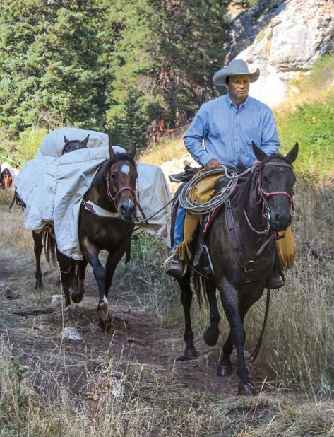 Mules Animal, Trail Riding Horses, Cowboy Photography, Hunting Packs, Cowboy Pictures, Horse Camp, Cowgirl And Horse, Horse Equipment, Horse Gear