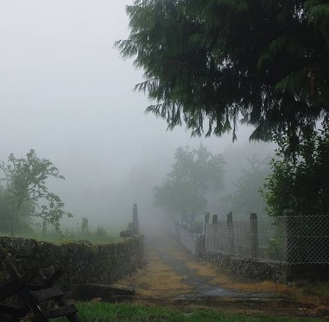 Rainy Cottage, Misty Day Aesthetic, Moody Weather, Foggy Weather, Cloudy Weather, Picture Places, Horror Themes, Cottage In The Woods, Fantasy Forest