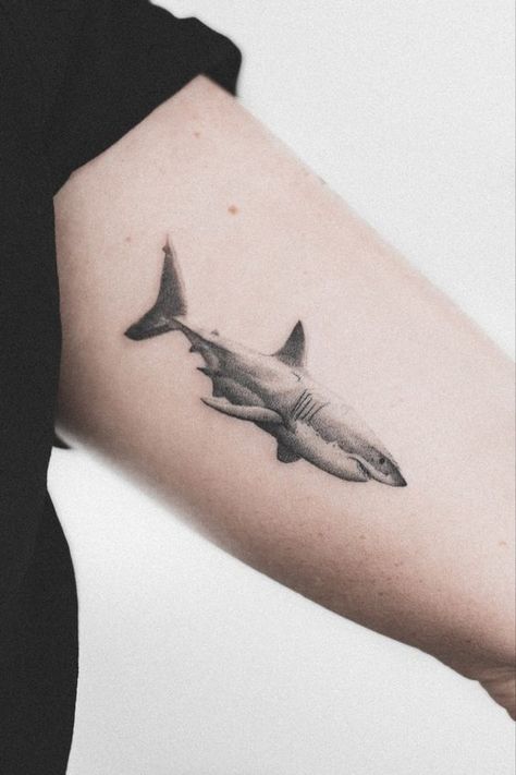 Get ready to dive into the world of shark tattoos and discover their unique symbolism and style. We invite you to learn more about their meaning, as well as choose a design that's right for you. Small Shark Tattoo, Shark Tattoo Ideas, Hai Tattoo, Underwater Tattoo, Beginner Tattoos, Realistic Tattoo Sleeve, Shark Tattoo, Ocean Tattoos, Theme Tattoo