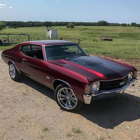 ‘72 Chevelle Burgundy Paint Job Burgundy Car, Burgundy Paint, 72 Chevelle, Chevy Classic, Chevrolet Chevelle Ss, Chevy Muscle Cars, Chevy Chevelle, Old School Cars, Chevy Malibu