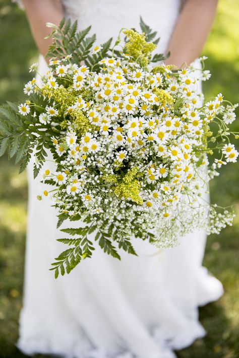 Bridal Daisy Bouquet, White Daisy Bouquet, Daisy Bouquet Wedding, Wedding Theme Color Schemes, Wildflowers Wedding, Baby Daisy, Daisy Wedding, Florist Wedding, Daisy Bouquet