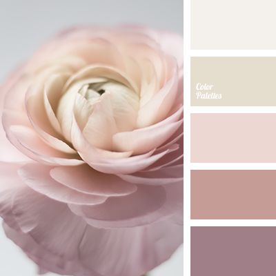 Warm Palettes | Page 3 of 158 | Color Palette Ideas In Color Balance, Beige Color Palette, Color Palette Ideas, Wall Living Room, Color Schemes Colour Palettes, Warm Palette, Palette Ideas, Color Palette Pink, Design Seeds