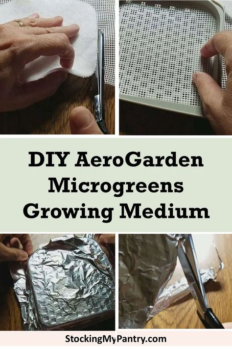 Money-saving AeroGarden microgreens growing medium alternatives. Aerogarden Diy, Microgreens Growing, Growing Radishes, Broccoli Seeds, Growing Microgreens, Garden Harvest, Seed Starting, Growing Food, The Bank