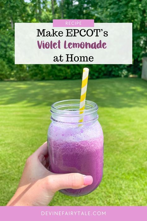 Bring a taste of Disney magic home with this refreshing Violet Lemonade recipe from Epcot's Flower and Garden Festival! 🍋💜 Perfect for a hot day or to relive your favorite park memories, this vibrant drink is easy to make and Instagram-worthy. #DisneyAtHome #VioletLemonade #FlowerAndGardenFestival Cocktails Using Vodka, Disney World Height Requirements, Violet Lemonade, Orlando Studios, Fairytale Disney, Floral Topiaries, Movie Night Dinner, Lemonade Concentrate, Magic Home