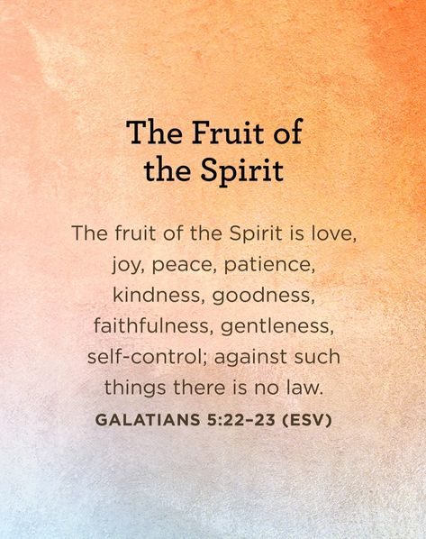 Purchase the study guide for the 'Fruit of the Spirit' series for only $2 or download the free digital study guide at tfl.org/fruit. #TruthForLife #FruitoftheSpirit Fruit Spirit, Christian Pics, Baby Gender Reveal Party Decorations, Fruits Of The Spirit, The Fruit Of The Spirit, Charles Stanley, Bible Study Methods, Study Methods, Gender Reveal Party Decorations