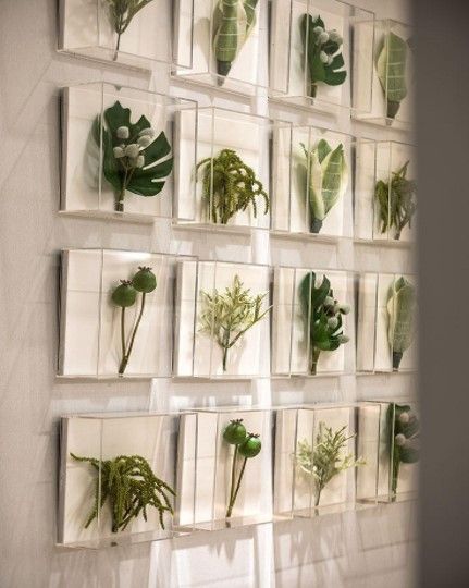 Plant Exhibition, Plant Installation, Interactive Walls, Jewellery Exhibition, Showroom Design, Exhibition Display, Museum Exhibition, Display Design, Shop Display