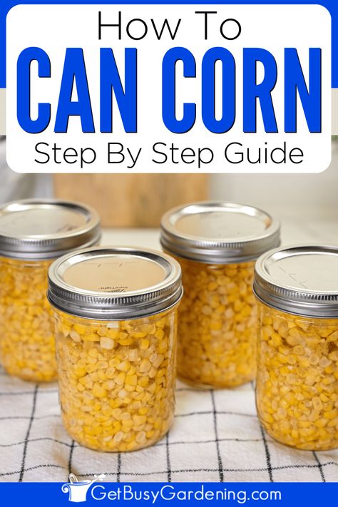 If you have an overabundance of corn from your vegetable garden, or find a great deal at the grocery store or farmer’s market, canning corn is one of the best ways to preserve corn before it goes bad. Learn the best types of corn to can and how to keep it from turning brown. Learn how to can corn by raw packing or by hot packing method. Learn why you need to use a pressure canner to can corn, how to store canned corn, tips, FAQs, and so much more. How To Can Corn, Tomato Salsa Canning, Canned Corn Recipes, Canning Corn, Can Corn, Canning Kitchen, Canning Sweet Corn, Pressure Canner, Canned Corn