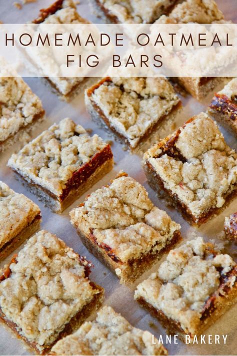 Homemade Oatmeal Fig Bars - Lane Bakery Fig Jam Bars, Fig Bars With Fig Jam, Oatmeal Fig Bars, Fig Jam Dessert, Sun Dried Figs Recipes, Homemade Fig Bars, Fig Jam Recipes, Fig Jam Uses, Fig Bars Recipe