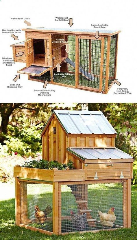 Reban Ayam, Duck Pens, Small Chicken Coops, Chicken Coop Garden, Chicken Barn, Backyard Chicken Coop Plans, Diy Chicken Coop Plans, Backyard Chicken Farming, Chicken Coop Designs