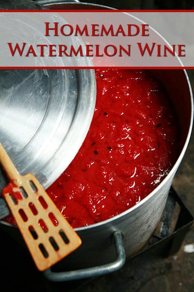 Easy Wine Making Diy, Unique Ingredients, Watermelon Wine Recipe, Watermelon Liqueur Recipe, Watermelon Moonshine Recipe, Fruit Wine Recipes, Wine Celebration, Mead Wine, Watermelon Wine