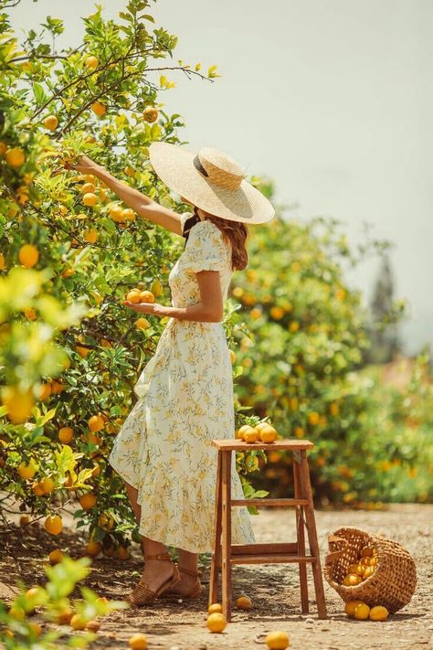 Lemon Orchard, Flower Farms, Italy Sicily, Amalfi Coast Italy, Orange Tree, Cottagecore Aesthetic, Lemon Tree, Trik Fotografi, Shooting Photo