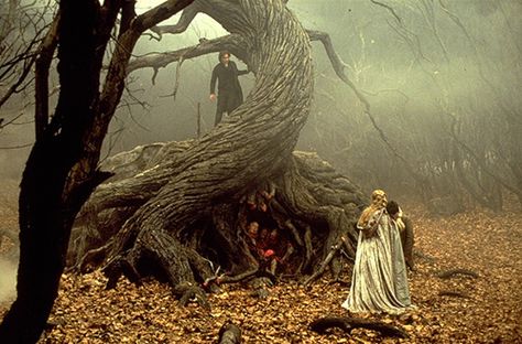 the tree Tim Burton Sleepy Hollow, Sleepy Hollow Movie, Sleepy Hollow Halloween, Sleepy Hollow 1999, The Legend Of Sleepy Hollow, Hollow Tree, Legend Of Sleepy Hollow, Tim Burton Art, Tim Burton Films