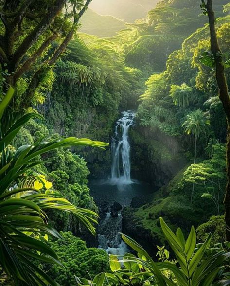 Tropical Castle, Tarzan Aesthetic, Hawaii Life Aesthetic, Tropical Plants Outdoor, Rainforest Aesthetic, Hawaii Forest, Aesthetic Jungle, Rainforest Pictures, Hawaii Jungle