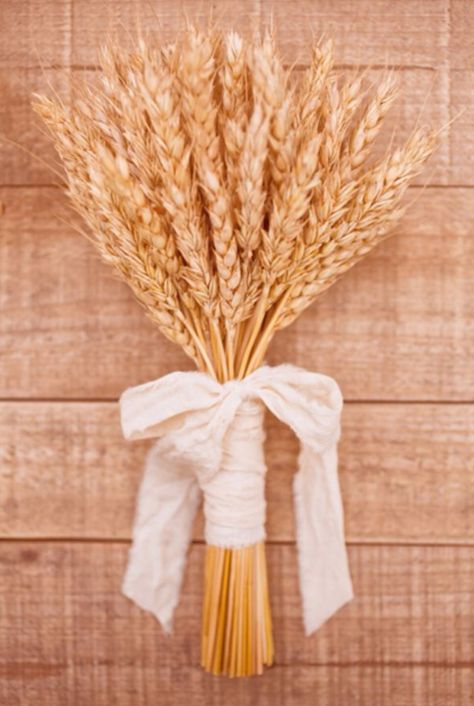 In the 14th Century brides would often carry wheat to symbolize fertility or the flower girls would throw the wheat to also symbolize fertility Prince Reference, Bouquet Alternatives, Wheat Bouquet, Country Wedding Bouquets, Hannah Cooper, Wheat Wedding, Pew Markers, Rustic Decorations, Wheat Sheaf