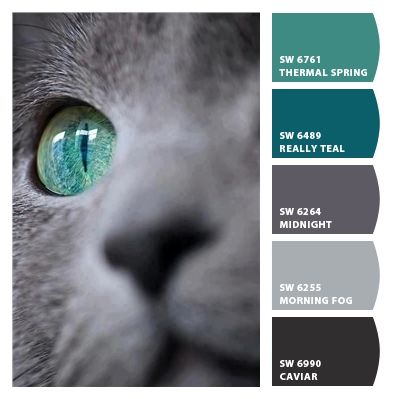 Color Schemes Colour Palettes, Bedroom Remodel, Teal And Grey, Master Closet, Remodel Bedroom, Paint Colors For Home, Style At Home, Cool Stuff, Bedroom Colors