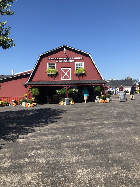 Jackson’s Orchard. Bowling Green, Kentucky. Amish Market, Bowling Green Kentucky, Mammoth Cave National Park, Petrified Forest National Park, Mammoth Cave, Mesa Verde National Park, Capitol Reef, Petrified Forest, Capitol Reef National Park