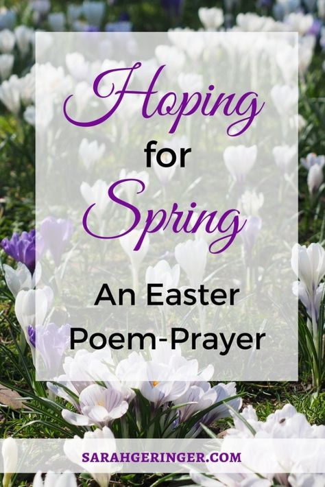 Hoping for Spring: An Easter poem-prayer to inspire new hope. #easter #prayer #hope #faith #spiritualgrowth #spring Easter Prayer, Easter Poems, Spring Poem, Christ Centered Easter, Healing Wounds, Prayer Poems, Hope In Jesus, Christian Meditation, Easter Food