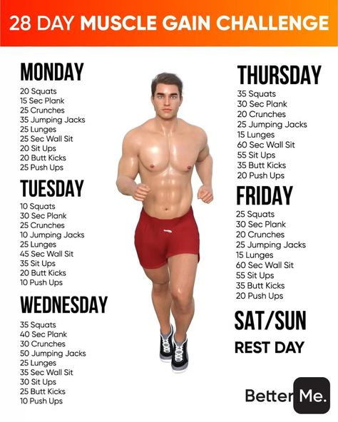 Muscle Gain Workout, Body Weight Workout Plan, Bicep Workout, Workout Program Gym, Workout Plan For Men, Gym Workout Planner, Workout Splits, Abs Workout Video, Gym Workout Chart