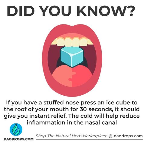 www.DaoDrops.com on Instagram: “DID YOU KNOW? Pressing an ice cube 🧊 against the roof of your mouth can provide relied of a stuffed nose. Blocked noses are caused largely…” Stuff Nose Remedies, Stuffed Nose, Best Cough Remedy, Blocked Nose, Sick Remedies, Natural Cold Remedies, Sinus Infection, Natural Cough Remedies, Cough Remedies