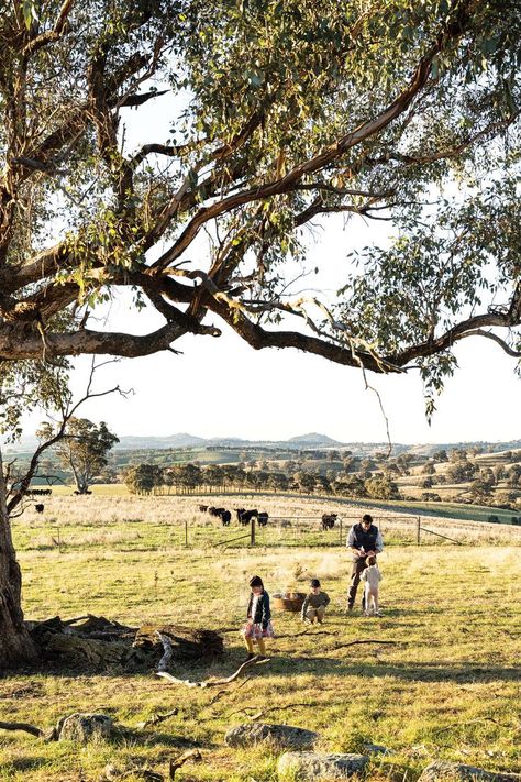 Big Family Farm Aesthetic, Farm Family Asethic, Farm Australia Country Life, Simple Farm Life Aesthetic, Life In The Country, Life On A Farm, Farm Love Aesthetic, Family Farm Life, Rural Living Country Life