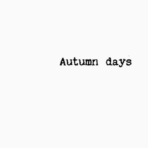 October Quotes, Autumn Quotes, Autumn Days, Fall Feels, Autumn Aesthetic, Big Time, Hello Autumn, Autumn Day, Typewriter