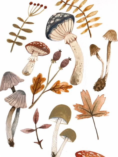 Mushroom Forest Art, Taryn Knight, Fall Illustration, Mushroom Forest, Forest Illustration, Forest Art, Realism Art, Whimsical Illustration, Plant Illustration