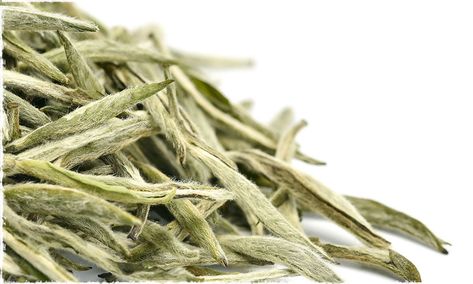 How To Choose The Best Silver Needle White Tea – teavivre Silver Needle Tea, White Tea, Green Beans, The Top, Good Things, Tea, Silver, White, Quick Saves