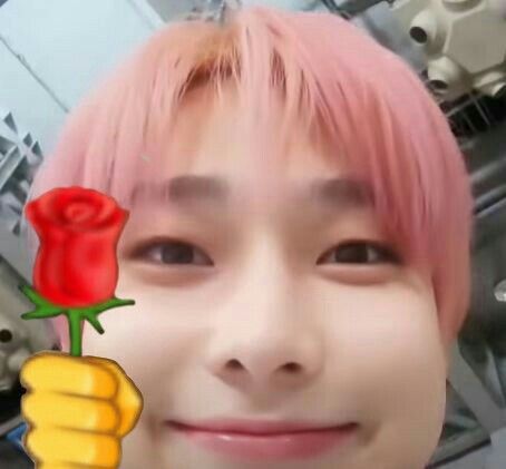 Enha Memes, Mint Choco, Giving Flowers, Enhypen Pics, Kim Sun, Skz In Cute, Kim Sunoo, Memes Kpop, Kpop Funny