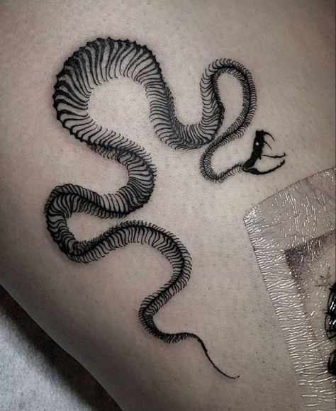 Snake Skeleton Tattoo, Snake Skeleton, Skeleton Tattoo, Snake Tattoo Design, Skeleton Tattoos, 4 Tattoo, Dream Tattoos, Snake Tattoo, Black Ink Tattoos