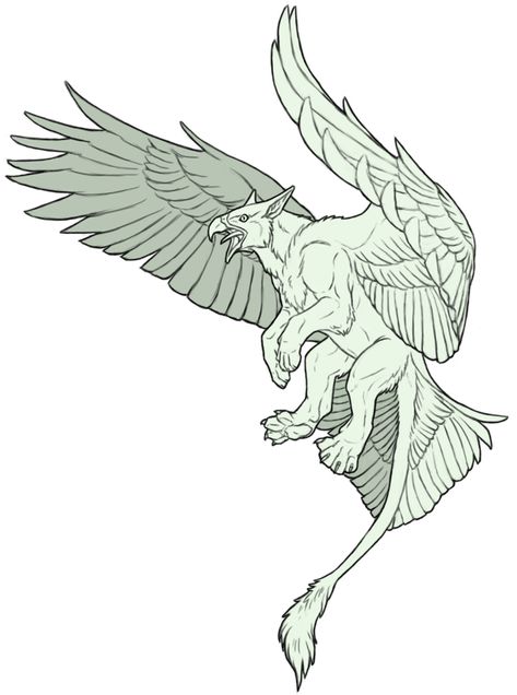 Mythical Beast Sketch, Gryphon Aesthetic, Gryphon Drawing, Griffon Drawing, Flying Griffin, Griffon Tattoo, Griffon Art, Gryphon Tattoo, Griffin Drawing