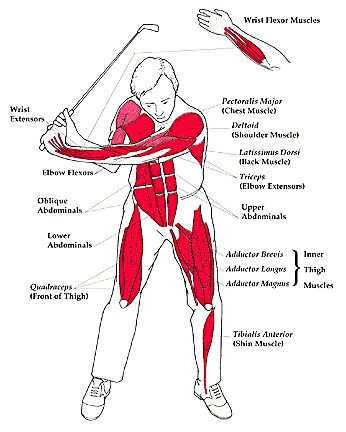 Golf Exercises Strength, Golf Stretching, Golf School, Golf Drills, Golf Rules, Golf Tips For Beginners, Golf Exercises, Golf Quotes, Golf Instruction