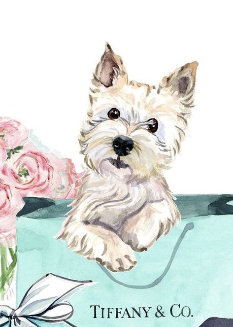 Gifts Illustration, West Terrier, Westie Puppies, Highland Terrier, Dog Fashion, Highlands Terrier, 강아지 그림, Westie Dogs, West Highland White