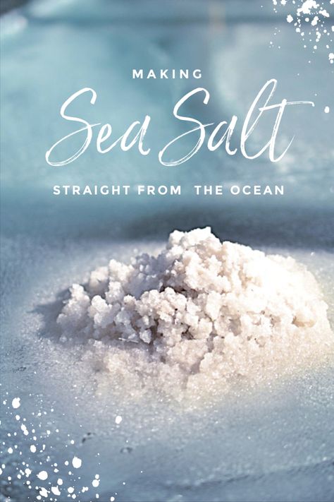 Making sea salt, straight from the ocean Epsom Salt Benefits, Sea Salt Recipes, Salt Making, Ocean Salt, Terranea Resort, Things To Learn, Sea Salt Spray, No Salt Recipes, Chef Cooking