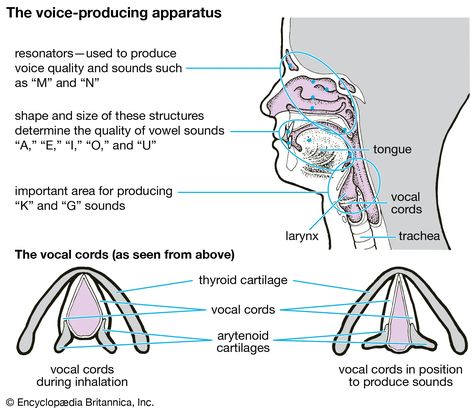 Vocal Training, I Hope, Design