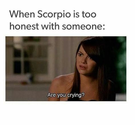 Are you looking for Scorpio memes? We have compiled 20 Scorpio memes that best describes in a humorous way how a Scorpio mind works. Scorpio Meme, Scorpio Power, Scorpio Funny, Brutal Honesty, Zodiac Quotes Scorpio, Astrology Scorpio, Scorpio Traits, Scorpio Love, Scorpio Zodiac Facts